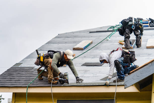 Professional Gutter Installation technician working in McAllen, TX
